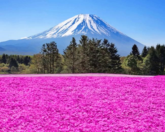 Mountain Purple Flower Field Nature Painting By Numberss.png