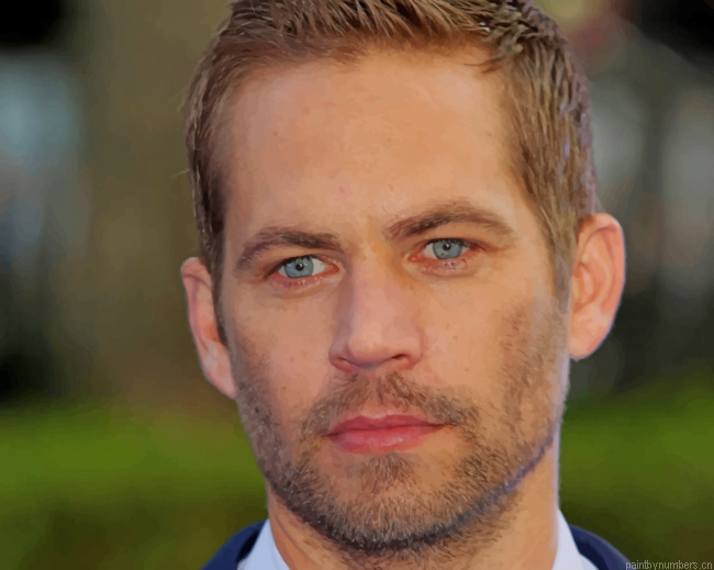 Movie Star Paul Walker Actors Painting By Numberss.png
