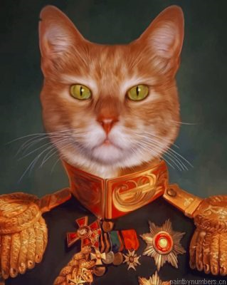 Mr Cat Painting By Numbers.png