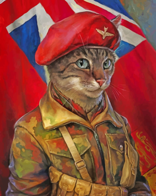 Mr English Cat Painting By Numberss.png