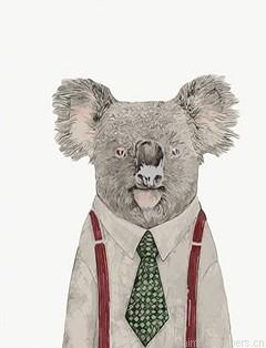 Mr Koala Painting By Numbers.png