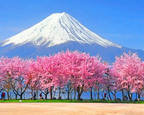 Mt Fuji Cherry Blossoms Painting By Numbers.png