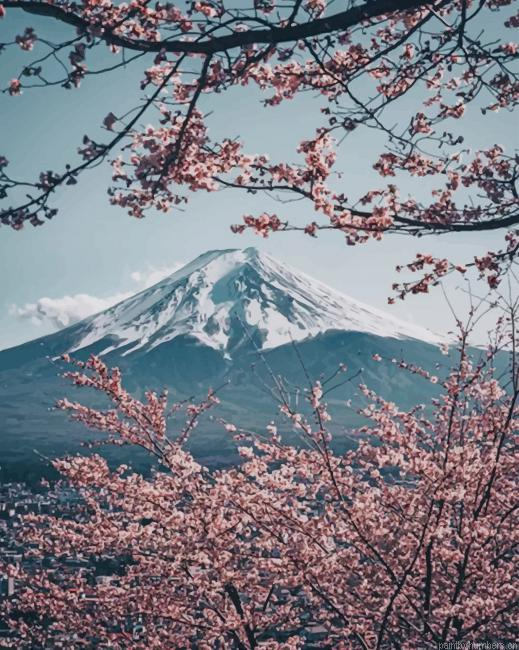 Mt Fuji Landscapes Painting By Numberss.png