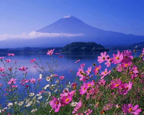 Mt Fuji Mountain Japan Painting By Numbers.png