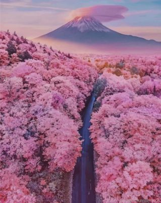 Mt Fuji With Cherry Blossoms Painting By Numbers.png