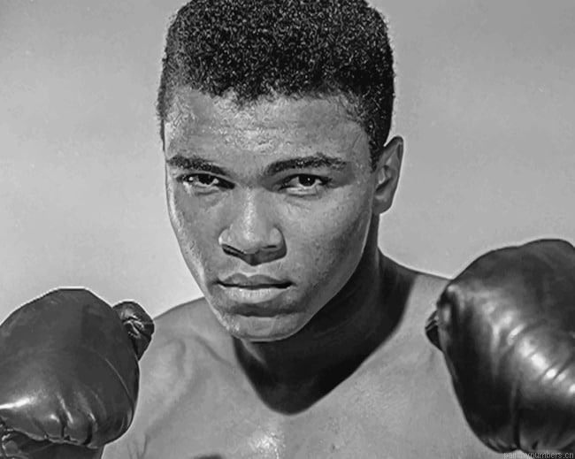 Muhammad Ali Black And White Boxing Painting By Numberss.png