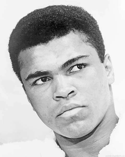 Muhammad Ali Boxing Painting By Numbers.png