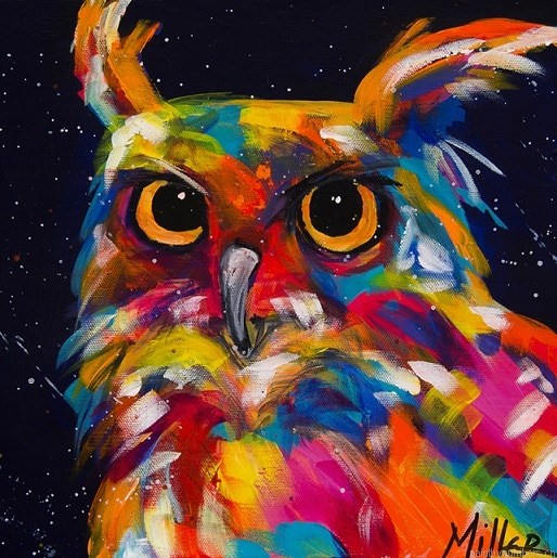 Multicolored Owl Birds Painting By Numbers.png
