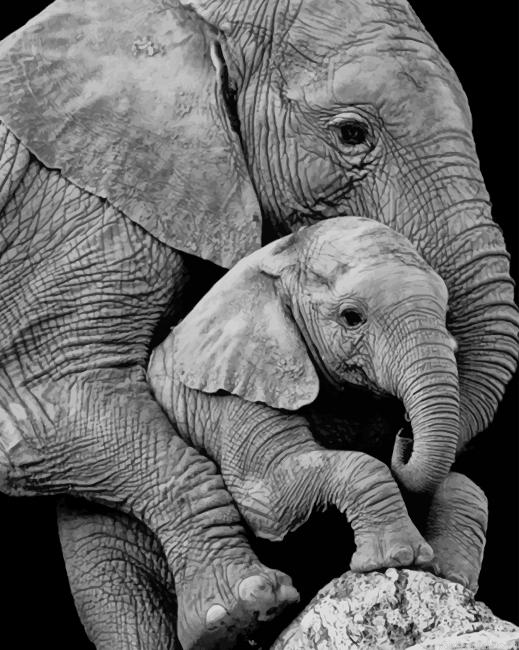 Mum Elephant And Her Baby Painting By Numberss.png