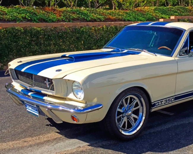 Mustang Fastback Gt500 Cars Painting By Numberss.png