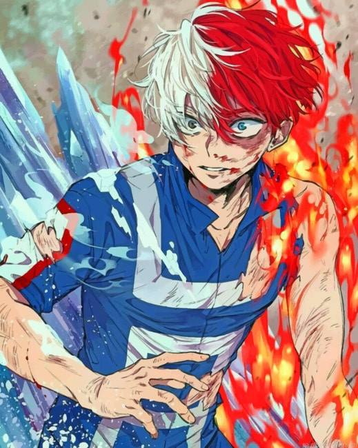 My Hero Academia Todoroki Painting By Numberss.png