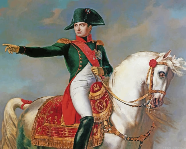Napoleon Portrait Painting By Numberss.png