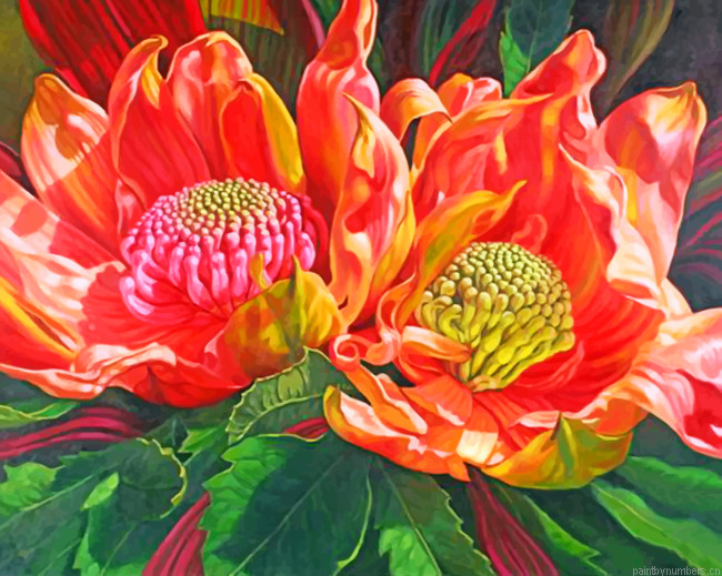 Native Australian Painting By Numbers.png
