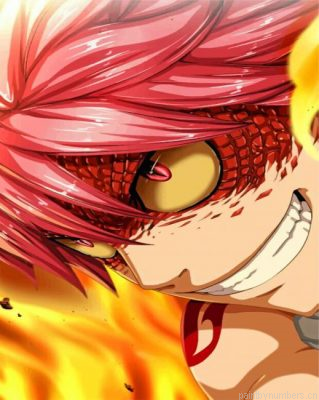 Natsu Fairy Tail Painting By Numbers.png
