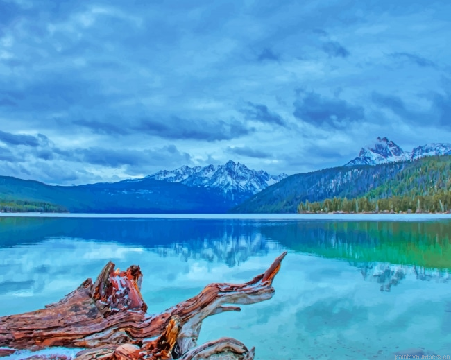Natural View Landscapes Painting By Numbers.png