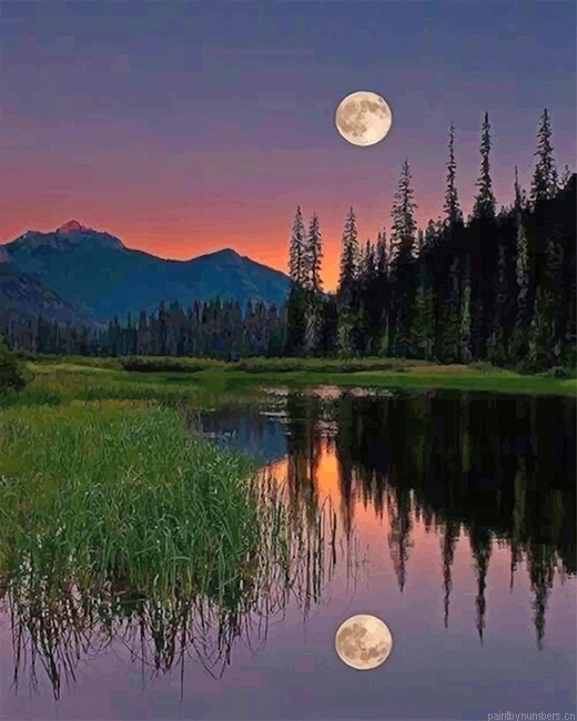 Nature Moon Reflect Landscapes Painting By Numberss.png
