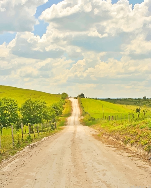 Nature Road Landscapes Painting By Numbers.png