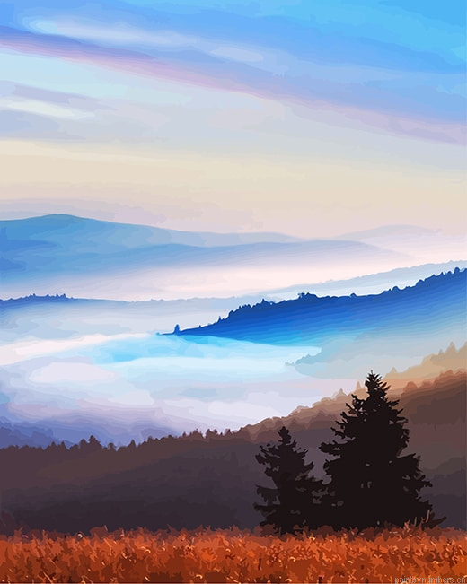 Nature View Painting By Numberss.png