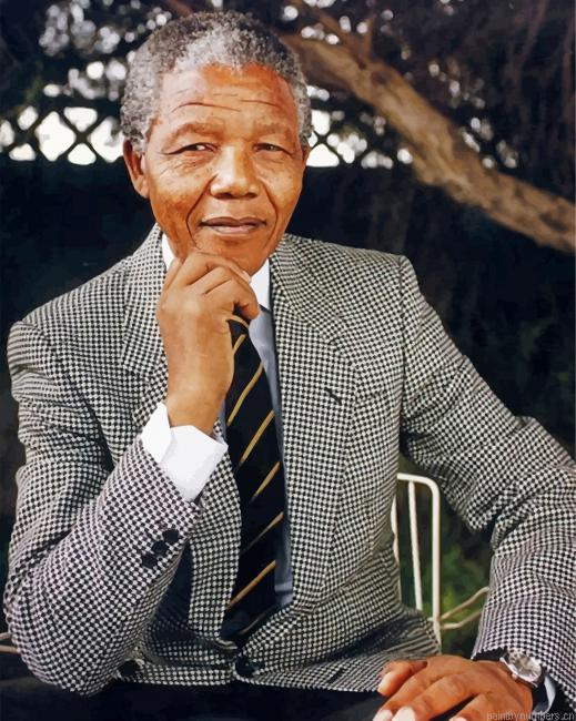 Nelson Mandela President Painting By Numberss.png