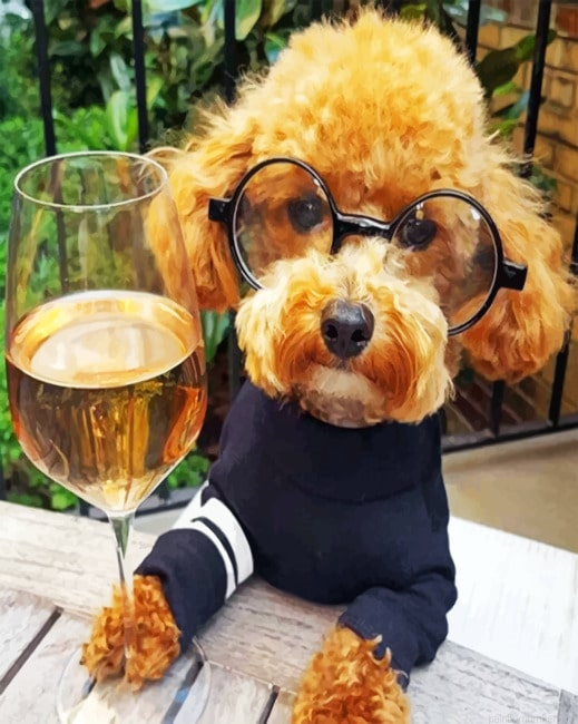 Nerd Cockapoo Painting By Numberss.png