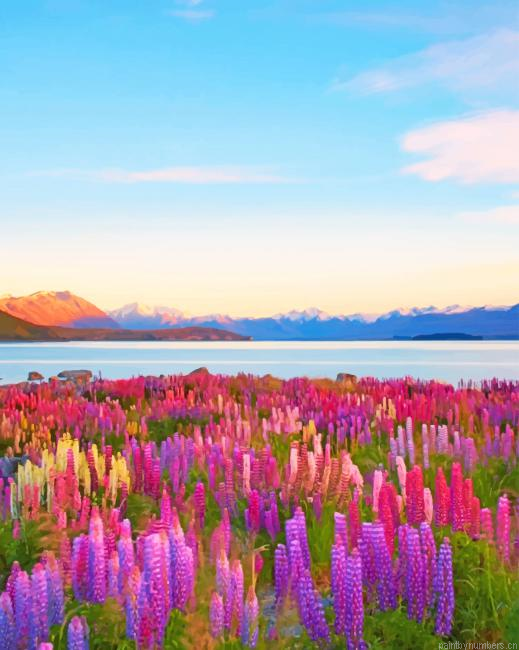 New Zealand Tekapo Lake Landscapes Painting By Numberss.png