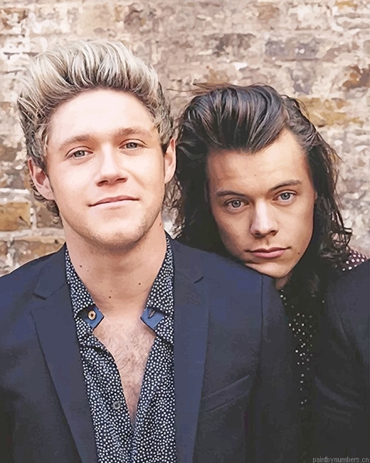 Niall Horan And Harry Styles One Direction Painting By Numbers.png