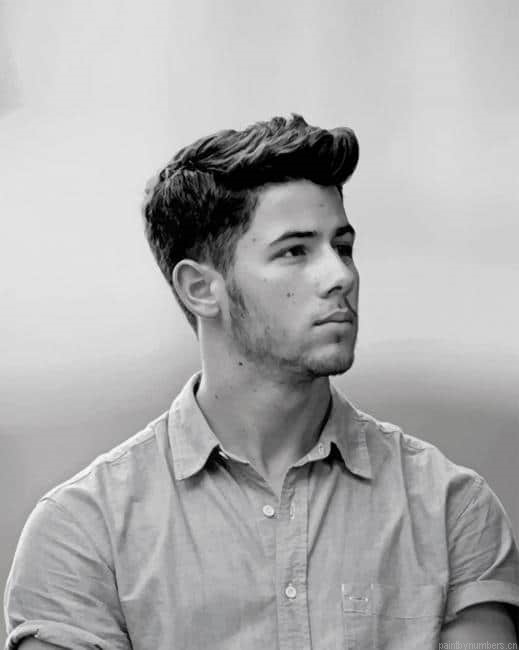Nick Jonas Black And White Singers Painting By Numbers.png