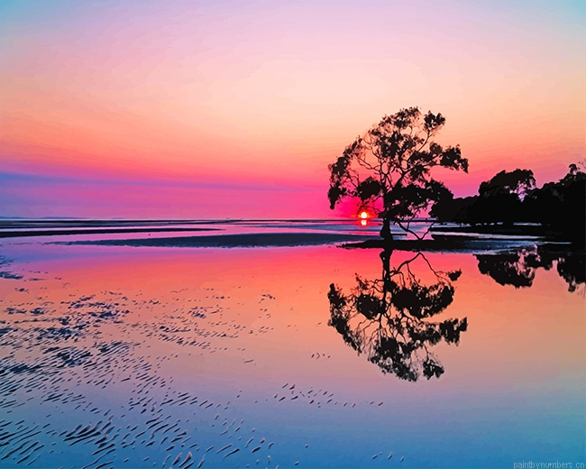 Nudgee Beach Australia Landscapes Painting By Numbers.png