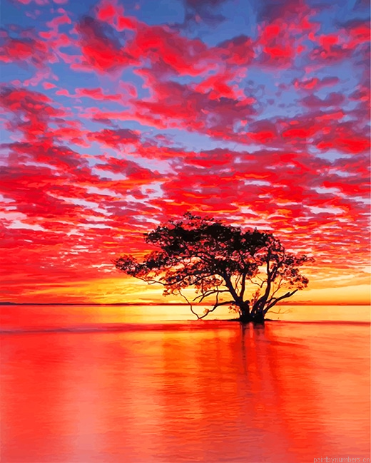 Nudgee Beach Sunrise Australia Landscapes Painting By Numberss.png