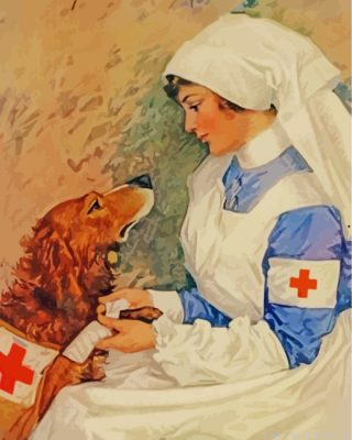 Nurse And Golden Retriever Painting By Numbers.png
