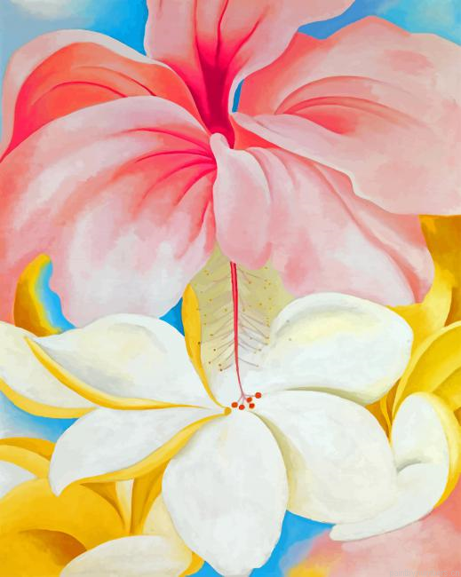 Nybg Georgia O Keeffe Hibiscus Painting By Numberss.png