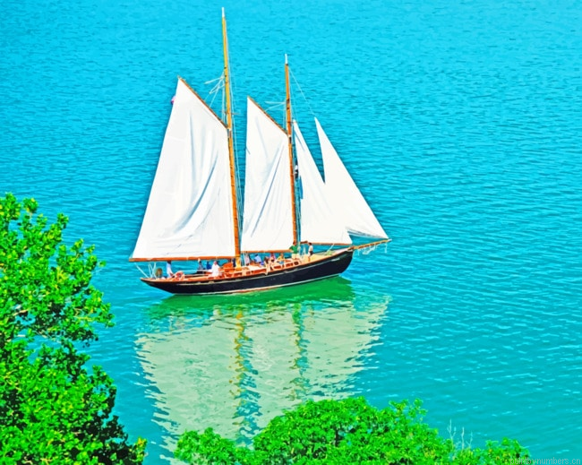 Ocean Sailing Boat Painting By Numberss.png