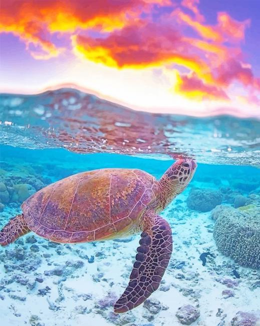 Ocean Turtle Animals Painting By Numbers.png