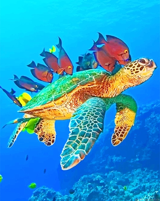 Ocean World Painting By Numbers.png