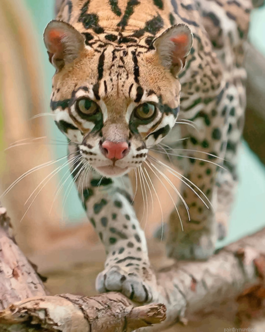 Ocelot Cat Animals Painting By Numberss.png
