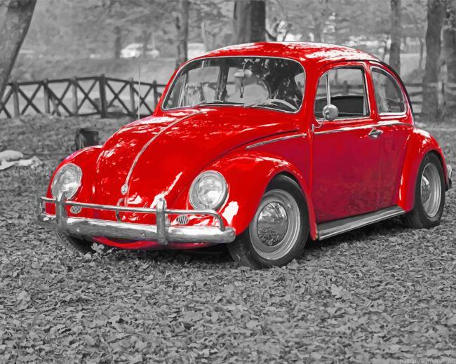 Old Red Beetle Car Painting By Numberss.png