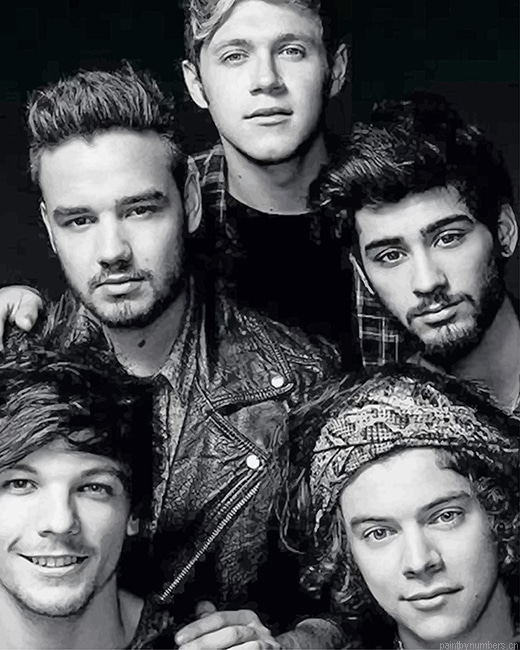 One Direction Black And White Singers Painting By Numbers.png