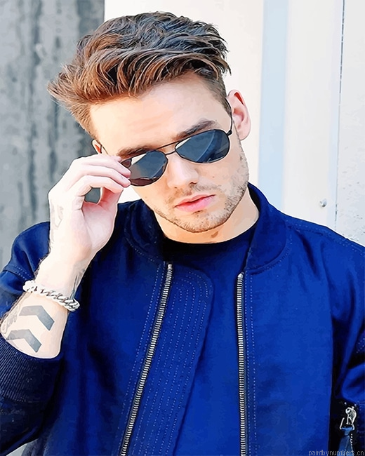 One Direction Liam Payne Singers Painting By Numberss.png