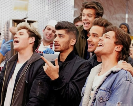 One Direction Team Painting By Numberss.png