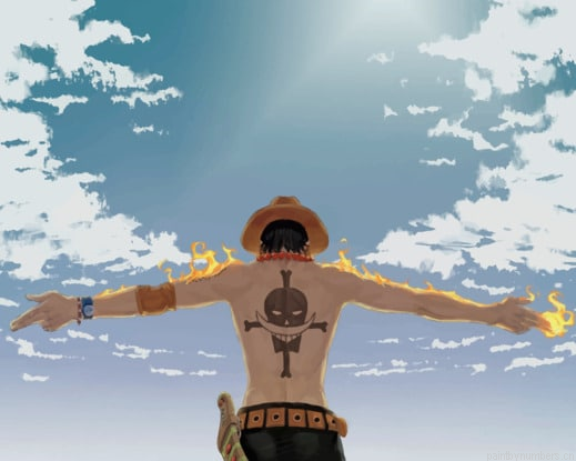 One Piece Ace In Flames Animations Painting By Numberss.png