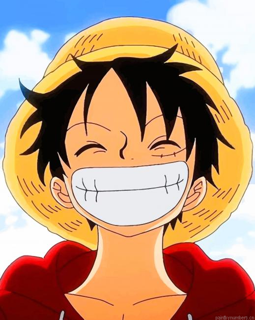 One Piece Luffy Animations Painting By Numberss.png