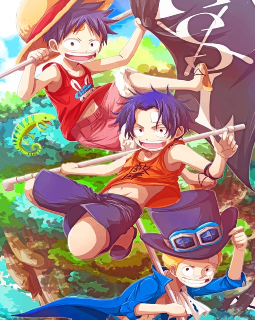 One Piece Cartoons Painting By Numbers.png