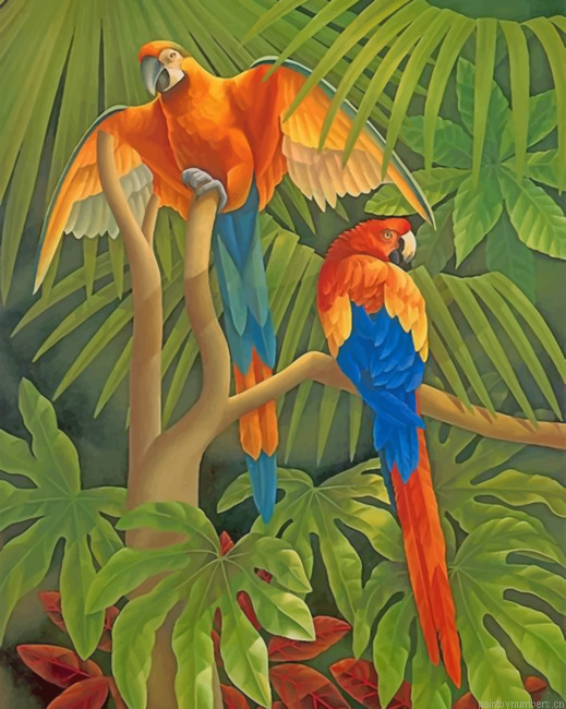 Orange And Blue Parrots Painting By Numbers.png