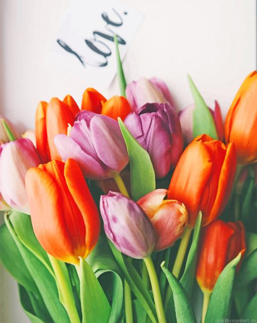 Orange And Purple Tulips Flowers Painting By Numberss.png