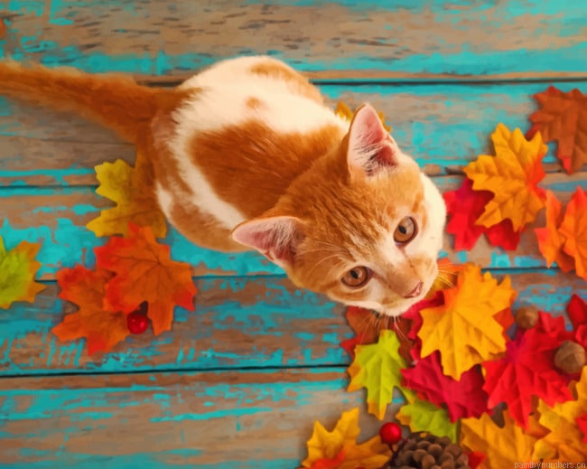 Orange Cat And Fall Leaves Animals Painting By Numberss.png
