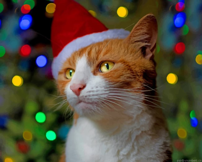 Orange Cat With Christmas Hat Animals Painting By Numberss.png