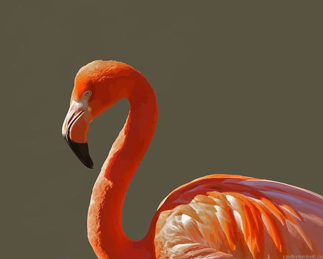 Orange Flamingo Bird Painting By Numberss.png