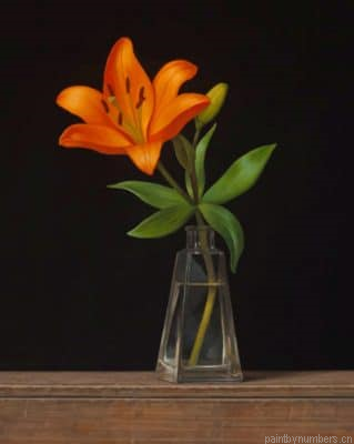 Orange Flower In A Glass Vase Painting By Numbers.png