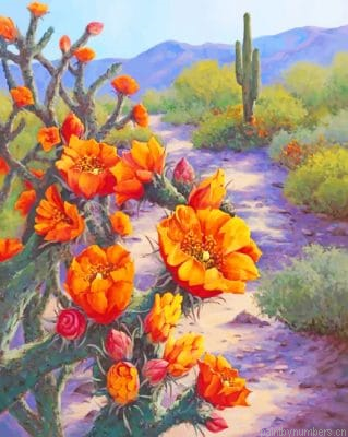 Orange Flowers And Cactus Painting By Numbers.png