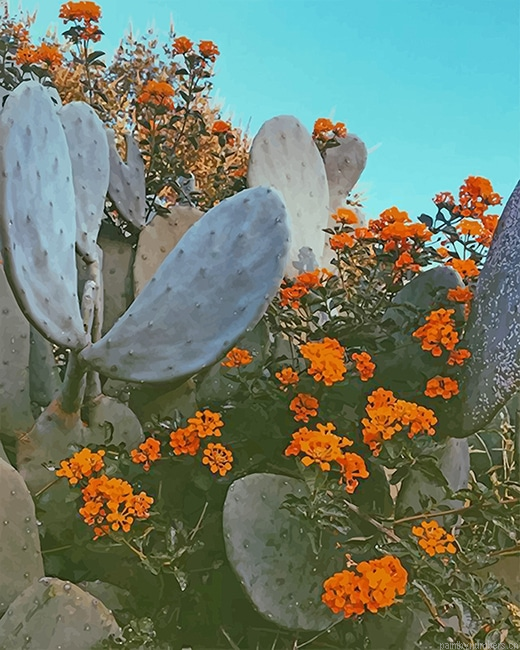 Orange Flowers Cactus Painting By Numberss.png